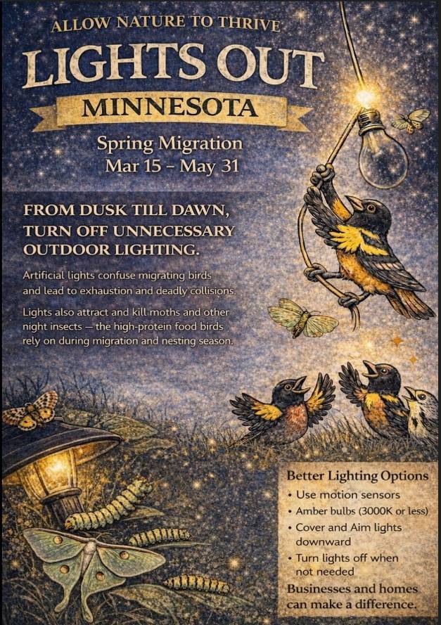 Lights Out MN - Updated Flyer - Copy - Copy - Copy